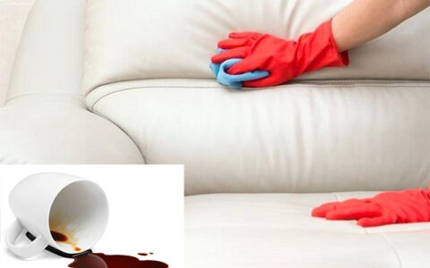 xử lý sofa bị đổ cà phê